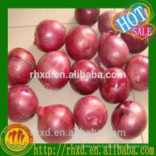 Best price of onion for malaysia market